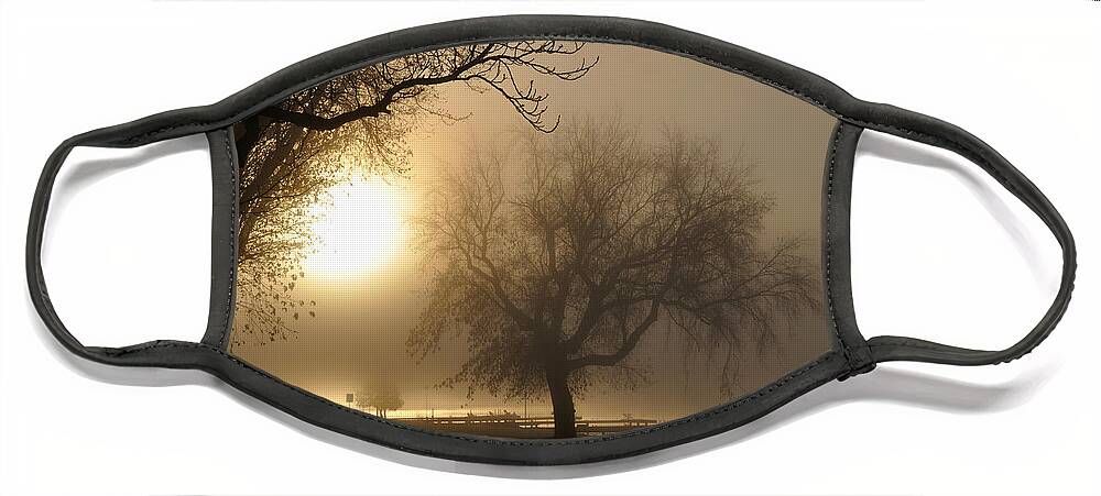 Foggy Face Mask featuring the photograph Foggy November Sunrise on the Bay by Tim Nyberg