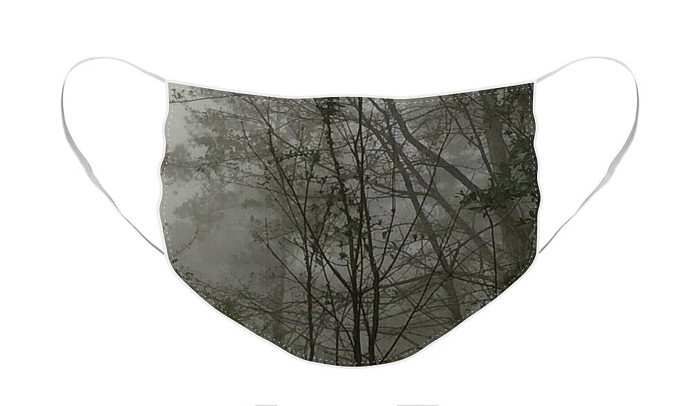 Fog Face Mask featuring the photograph Foggy Woods Photo by Gina O'Brien