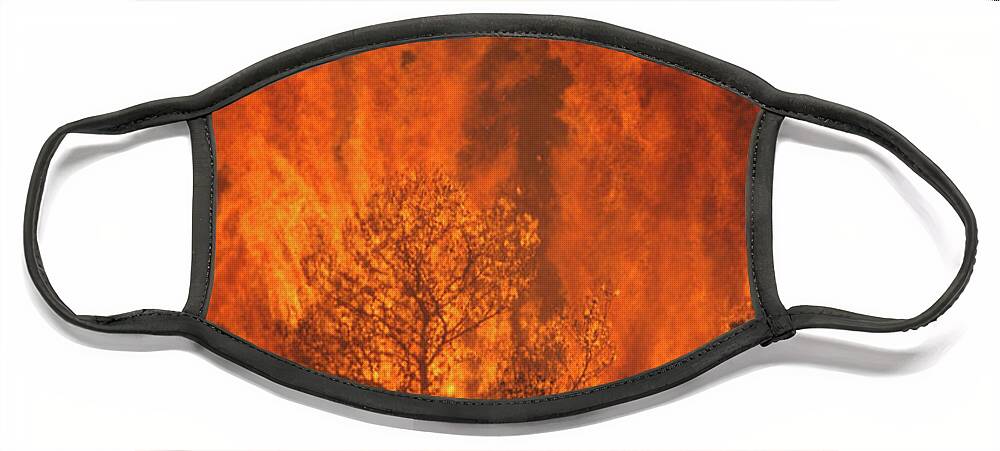 Haifa Face Mask featuring the photograph Forest fire 1 by Shay Levy