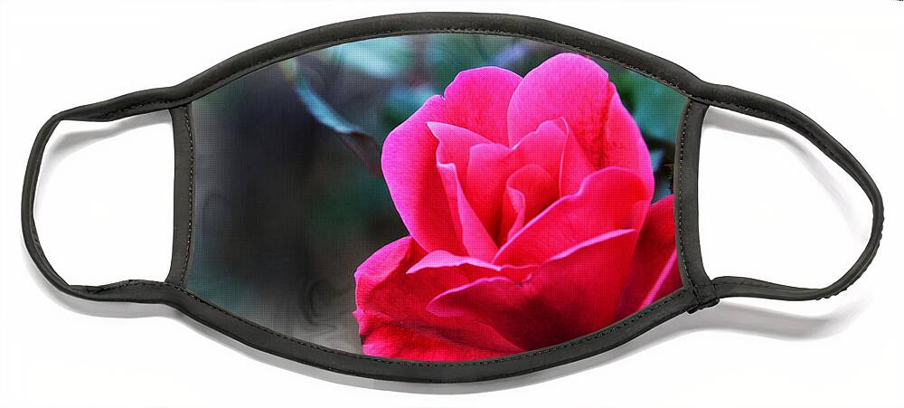 Red Rose Face Mask featuring the photograph Forever Love by Walter Herrit