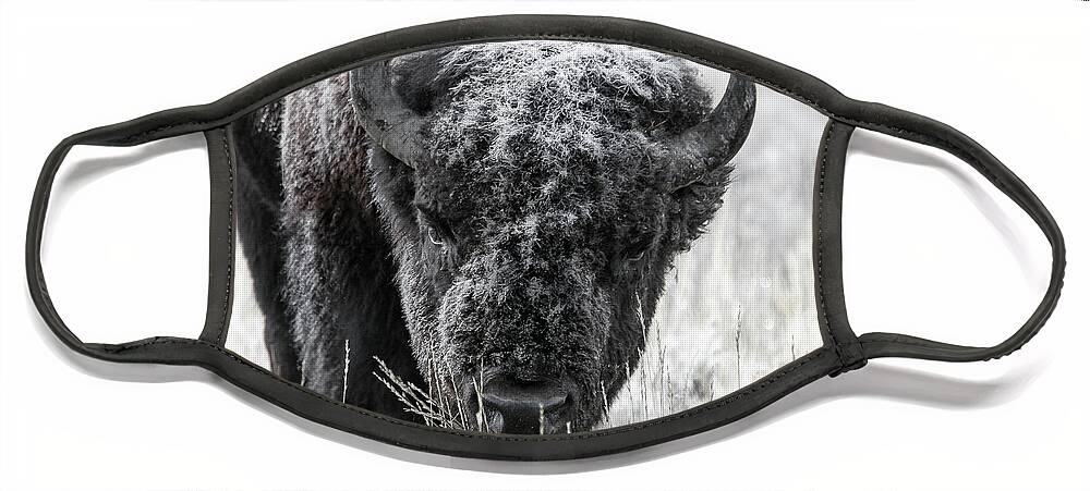 Bison Face Mask featuring the photograph Frosted Over by Ronnie And Frances Howard