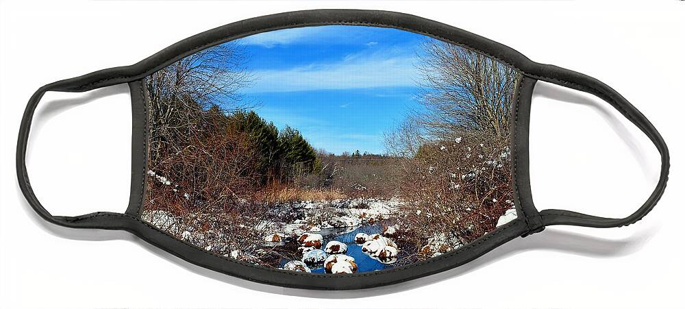 Snow Face Mask featuring the photograph Frosted River Grass by Dani McEvoy