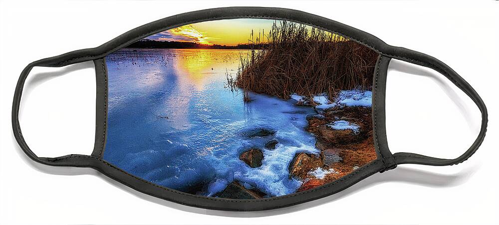 Concord Face Mask featuring the photograph Frozen Plume of Great Meadow Sun by Sylvia J Zarco