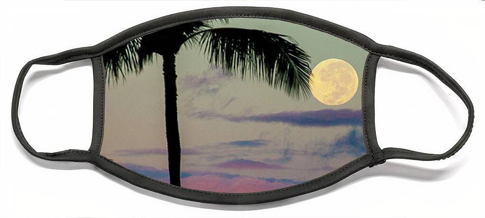 Palm Trees Face Mask featuring the photograph Full Moon and Palm Trees by Anthony Jones