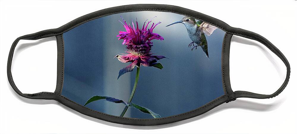 Hummingbird Face Mask featuring the photograph Garden Jewelry by Everet Regal