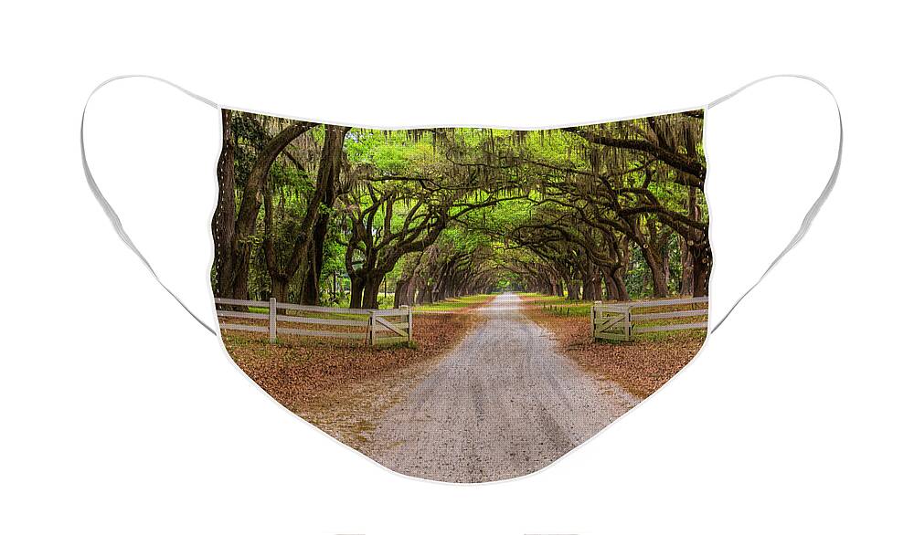 Art Face Mask featuring the photograph Gated Plantation by Jon Glaser