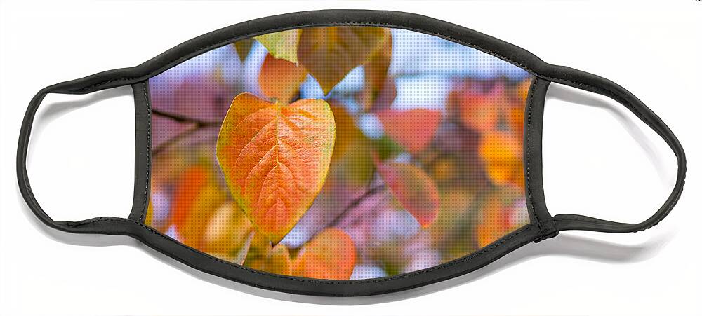 Leaves Face Mask featuring the photograph Gentle Breeze by Derek Dean