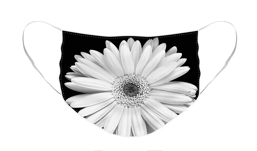 Gerber Face Mask featuring the photograph Single Gerbera Daisy by Marilyn Hunt