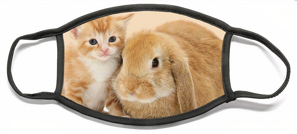 Ginger Face Mask featuring the photograph Ginger kitten and Sandy bunny by Warren Photographic