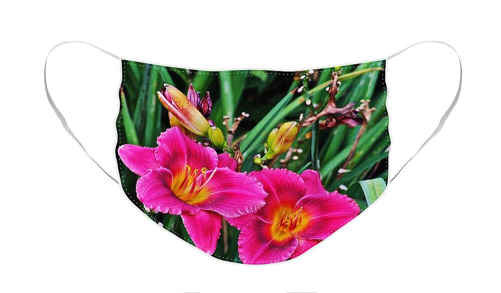 Daylilies Face Mask featuring the photograph Glorious Daylilies by Janis Senungetuk