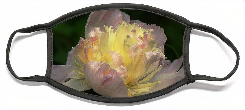 Peony Face Mask featuring the photograph Glow Within A Peony by Eunice Miller