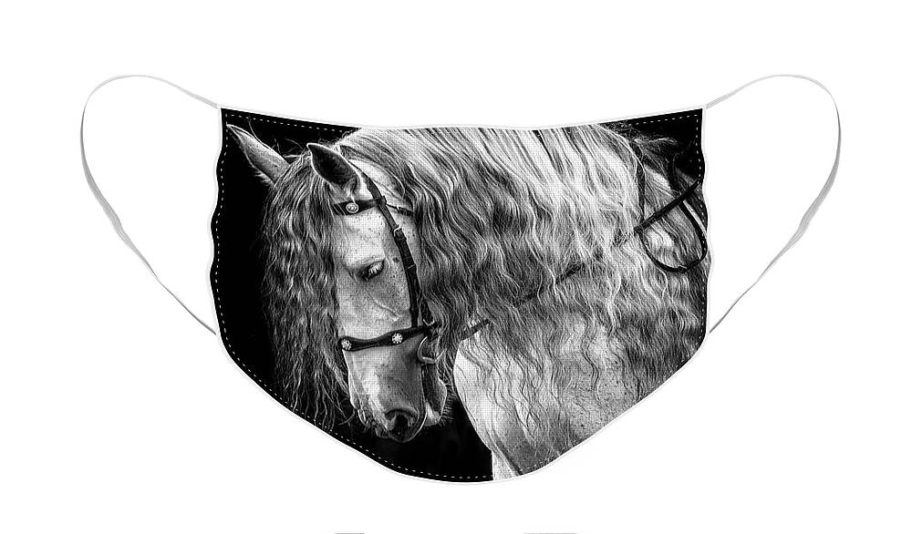 Gorgeous Andalusian Face Mask featuring the photograph Gorgeous Andalusian by Wes and Dotty Weber