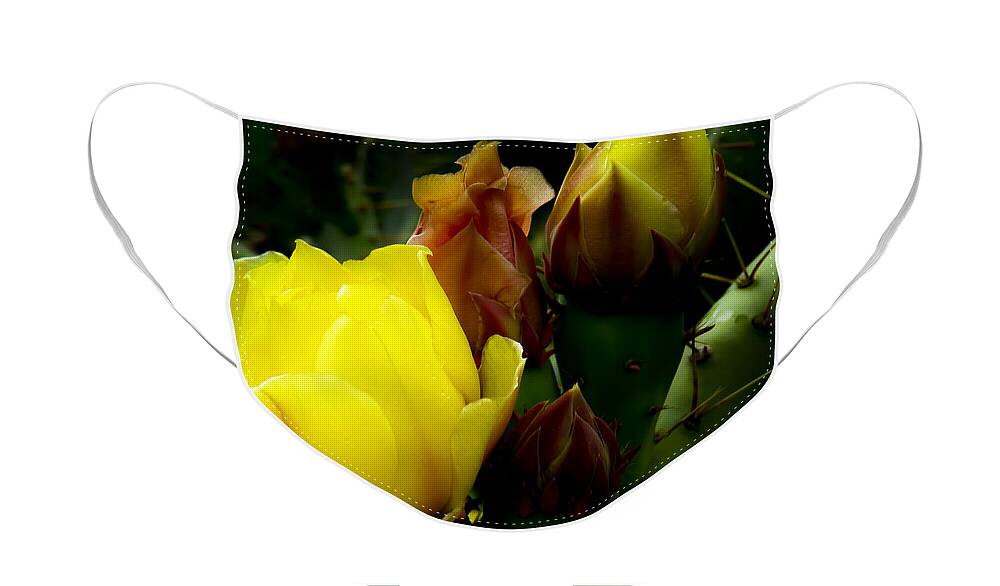 Flower Face Mask featuring the photograph Grace Under Pressure by Terry Ann Morris
