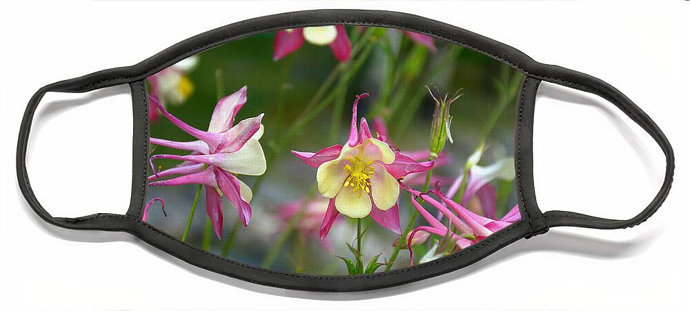 Grand Face Mask featuring the photograph Grand Lake Floral Study 6 by Robert Meyers-Lussier