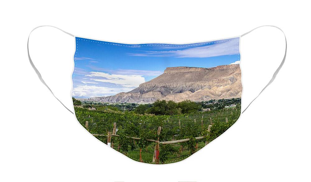 Colorado Face Mask featuring the photograph Grand Valley Vineyards by Teri Virbickis