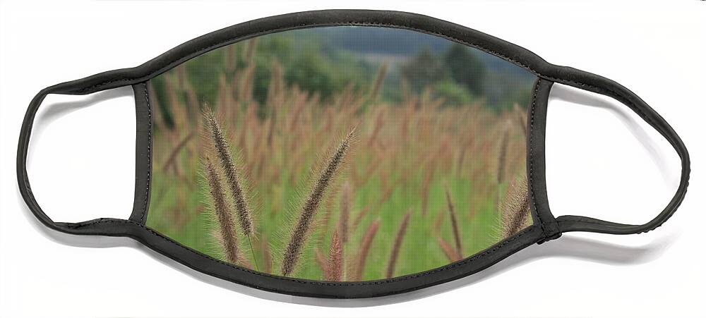 Thailand Face Mask featuring the photograph Grass by Ivan Franklin
