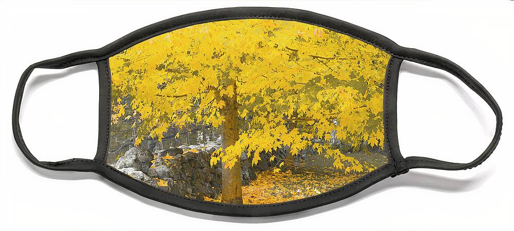 Fall. Maine Face Mask featuring the photograph Gravitational Inevitability by Jeff Cooper