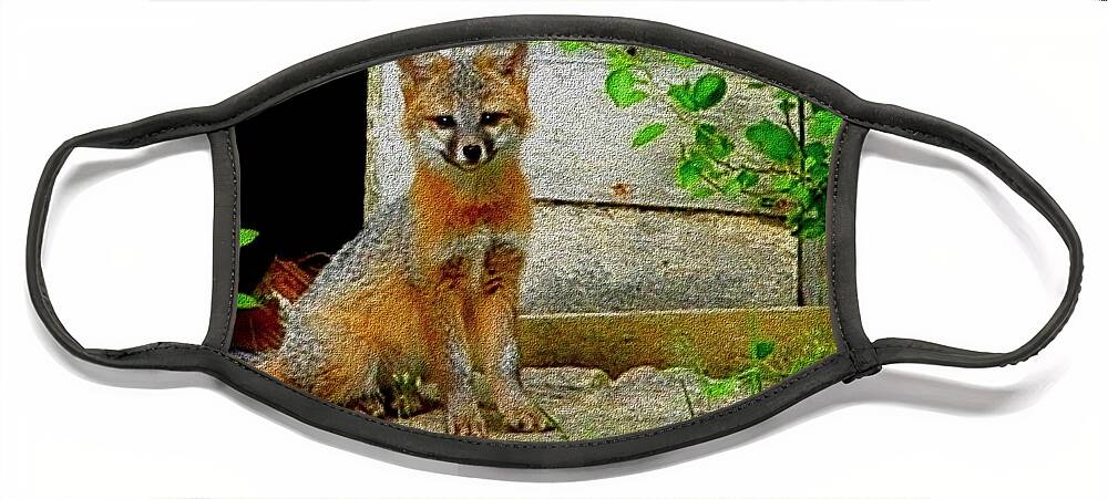 Fox Face Mask featuring the painting Gray Fox Kit by Cliff Wilson
