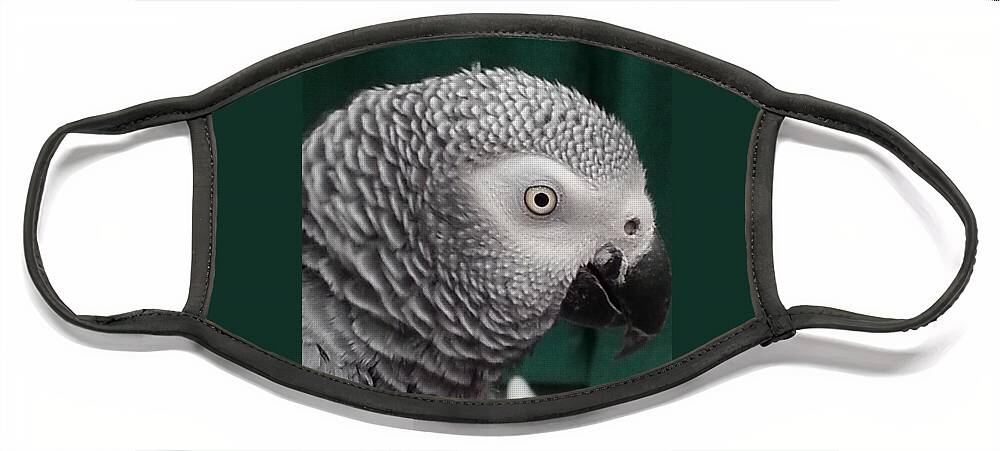 Parrot Face Mask featuring the photograph Gray Parrot by Maria Aduke Alabi