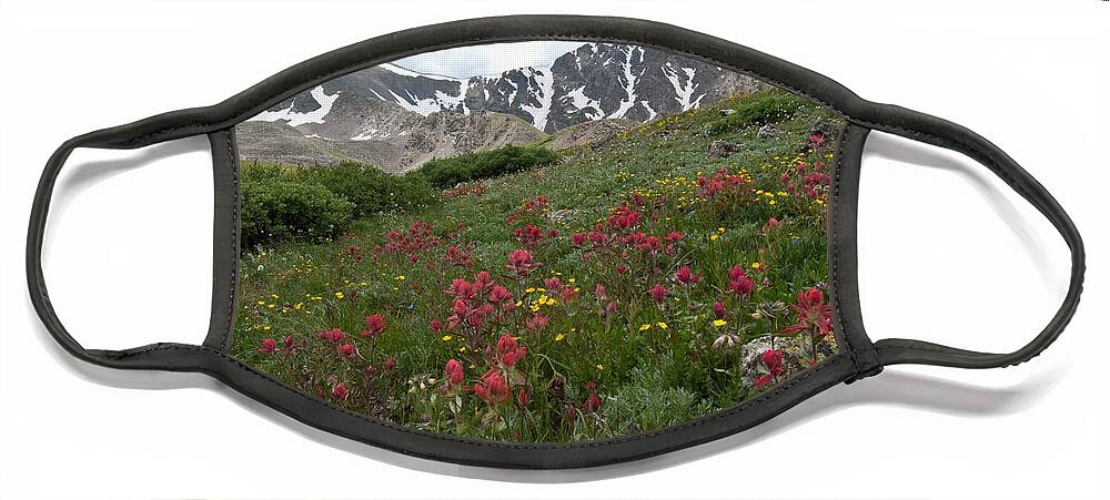 Gray's Peak Face Mask featuring the photograph Gray's and Torreys by Cascade Colors