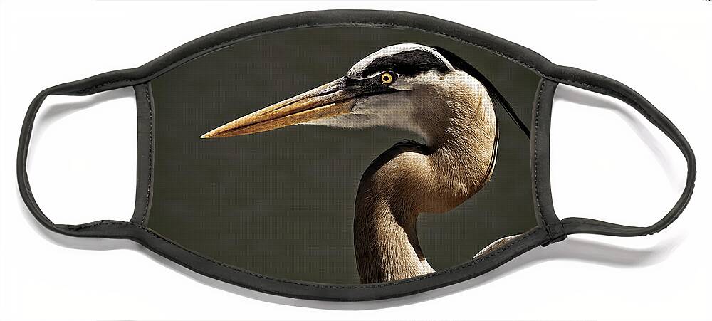 America Face Mask featuring the photograph Great Blue Heron Close Up Portrait by Stefano Senise