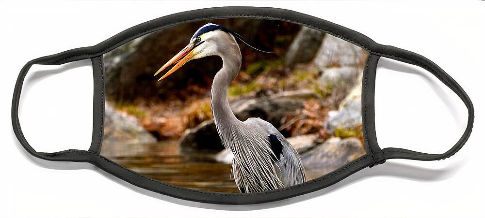 Wildlife Face Mask featuring the photograph Great Blue Heron by Monika Salvan