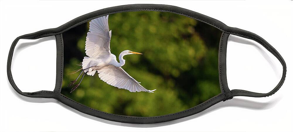 Great Egret (ardea Alba) Face Mask featuring the photograph Great Egret 3175 by Jeff Phillippi