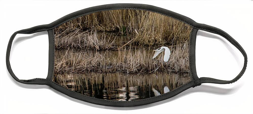 Great Egret Face Mask featuring the photograph Great Egret's flight to a new position by Torbjorn Swenelius