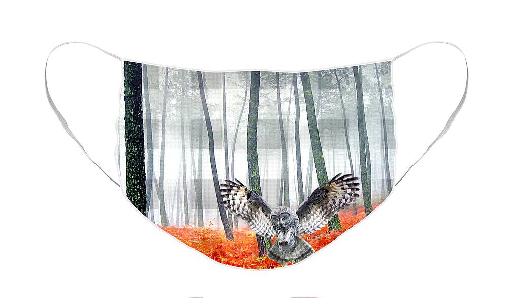 Great Gray Owl Face Masks