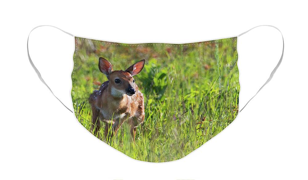 Deer Face Mask featuring the photograph Great Meadows Fawn by Art Cole