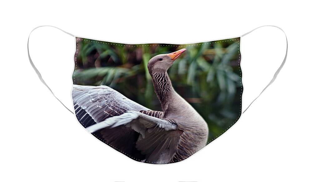 Bird Poetry Face Mask featuring the photograph Greylag Goose Poetry by Silva Wischeropp