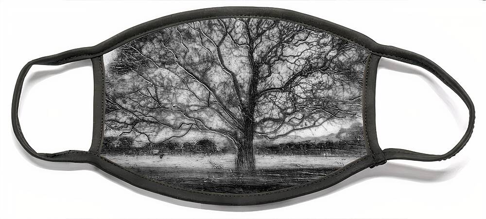 Trees Face Mask featuring the mixed media Hagley Tree 2 by Roseanne Jones