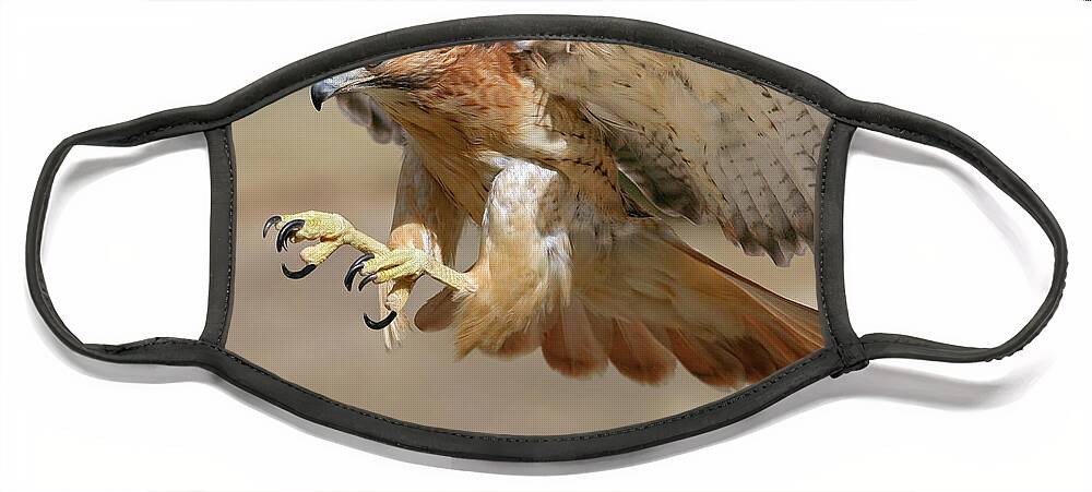 Hawk Face Mask featuring the photograph Hawk Attack by Ronnie And Frances Howard