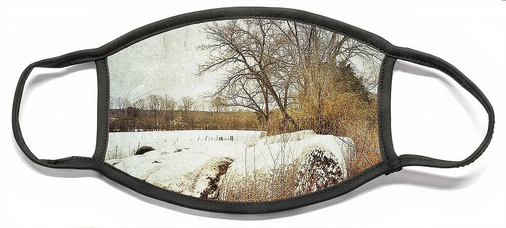 Photography Face Mask featuring the photograph Hay Bales In Snow by Melissa D Johnston