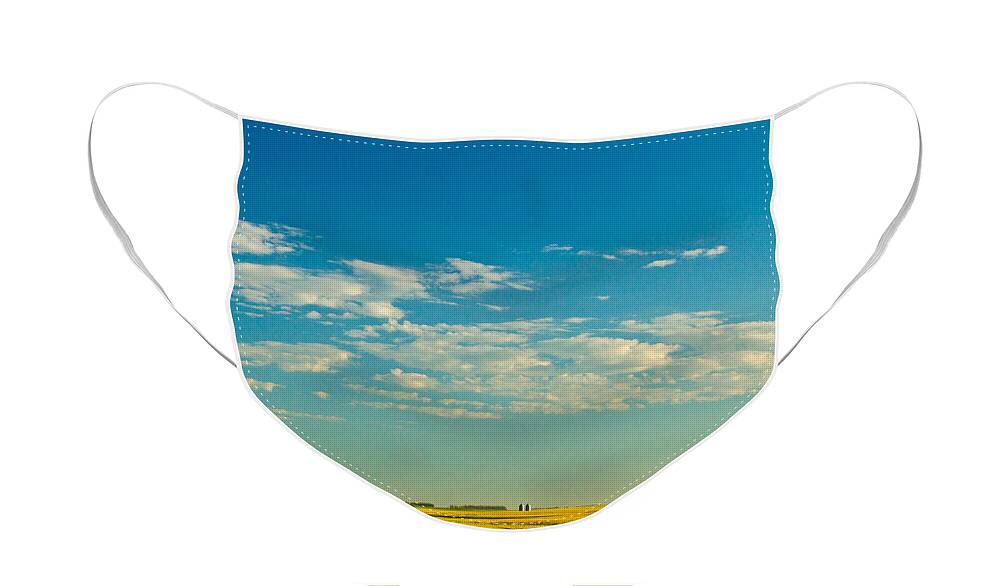 Farm Face Mask featuring the photograph Hay out there by Jana Rosenkranz
