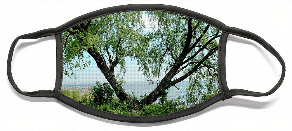 Usa Face Mask featuring the photograph Heart Tree on Lake Saint Clair by LeeAnn McLaneGoetz McLaneGoetzStudioLLCcom