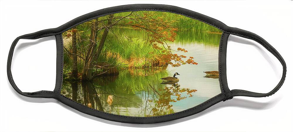 Canada Geese Face Mask featuring the photograph Hidden In Spring by Kim Carpentier