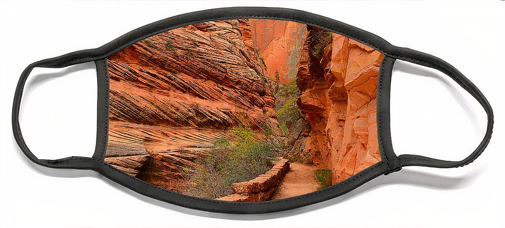 Hike To Observation Point In Zion National Park Face Mask featuring the photograph Hike to Observation Point by Raymond Salani III