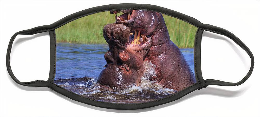 Africa Face Mask featuring the photograph Hippo by the Throat by Sylvia J Zarco