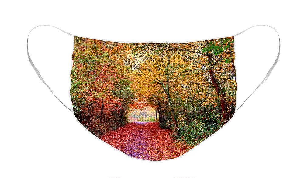 Autumn Face Mask featuring the photograph Hope by Jacky Gerritsen