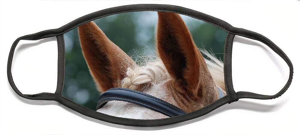 Horse Face Mask featuring the photograph Horse at Attention by Jennifer Ancker