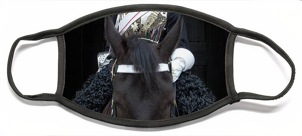 Horse Guard's Parade Face Mask featuring the photograph Horse Guard by Sharon Ann Sanowar