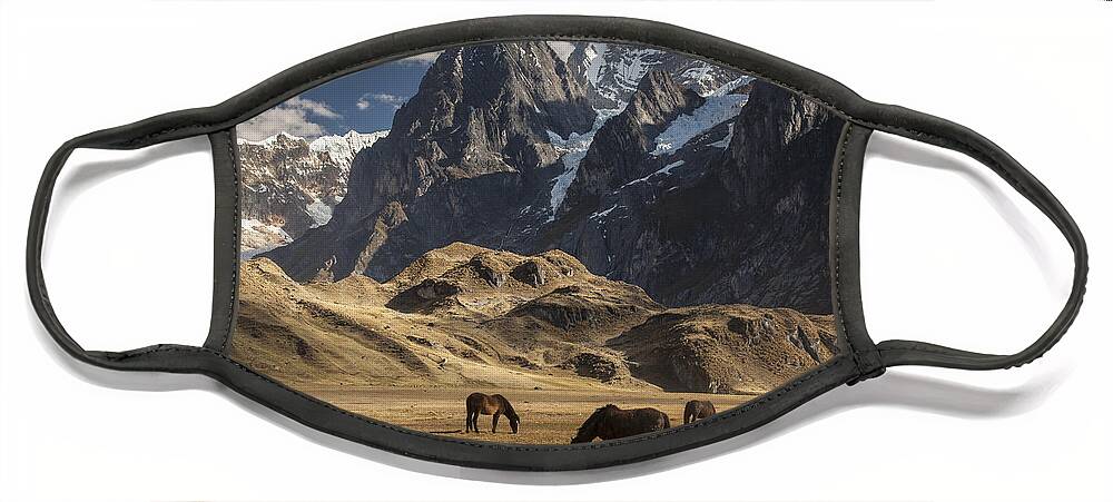 00498204 Face Mask featuring the photograph Horses Grazing Under Siula Grande by Colin Monteath
