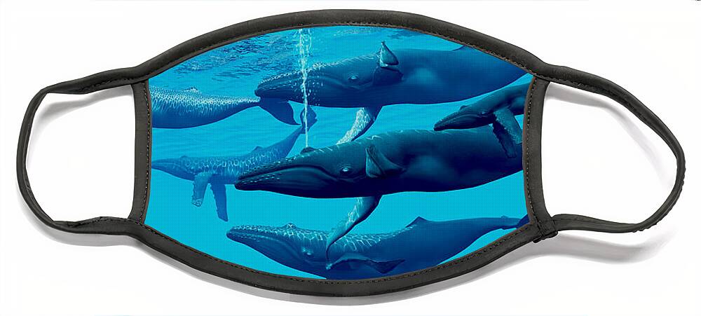 Humpback Whale Face Mask featuring the painting Humpback Whale Group by Corey Ford
