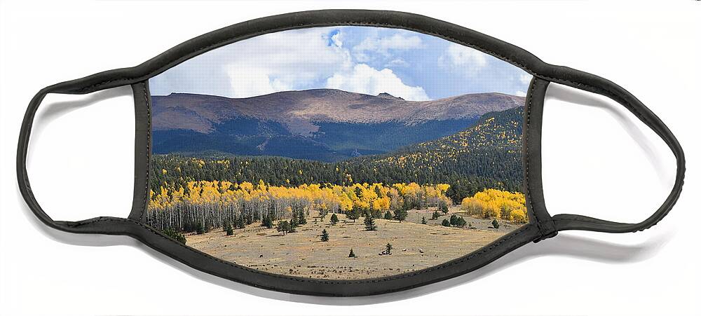 Aspen Trees Face Mask featuring the digital art Cripple Creek Colorado by Margarethe Binkley