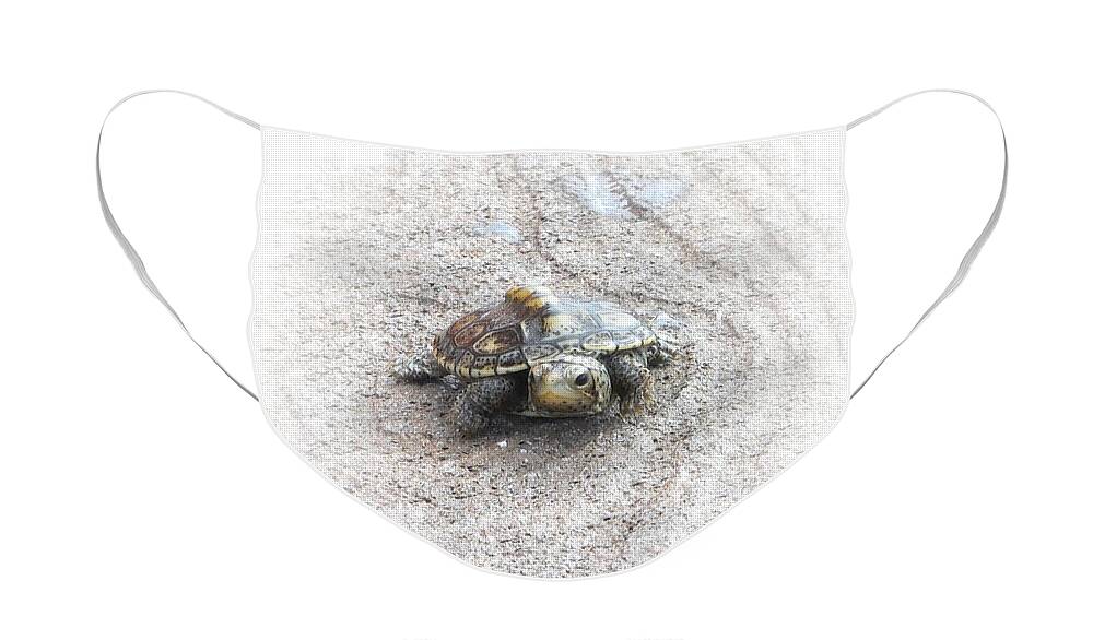 Turtle Face Mask featuring the photograph I Will Survive by Judy Hall-Folde
