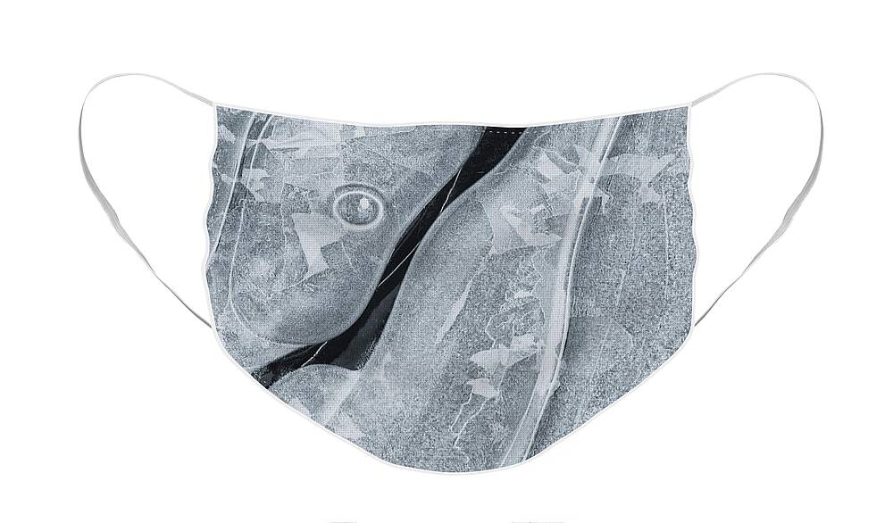 Ice Face Mask featuring the photograph Ice Pattern by Denise Bush