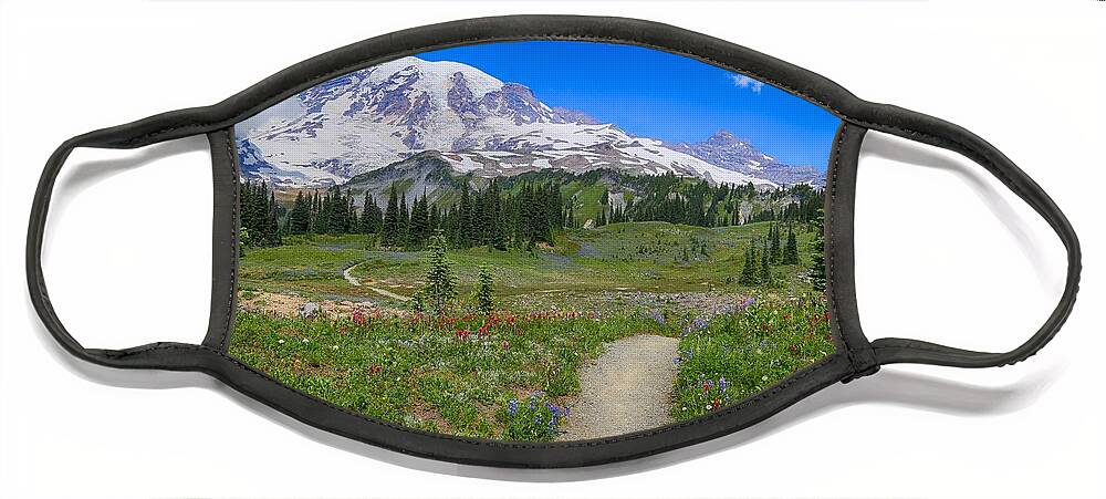 In Search Of Wildflowers Face Mask featuring the photograph In search of wildflowers by Lynn Hopwood