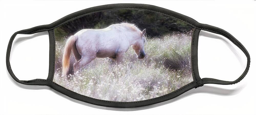 Wild Horses Face Mask featuring the photograph In The Garden by American Landscapes