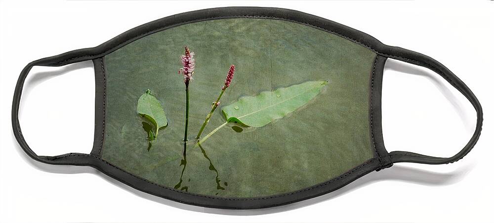 Flower Face Mask featuring the photograph In The Stillness... Love Whispers My Name by Lucinda Walter